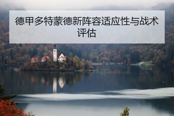德甲多特蒙德新阵容适应性与战术评估